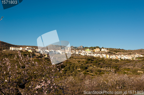 Image of Tarbena