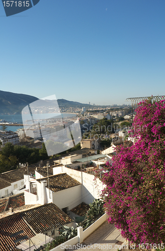 Image of Sunny Altea