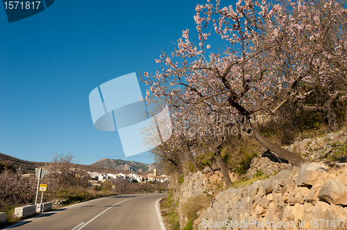 Image of Scenic road