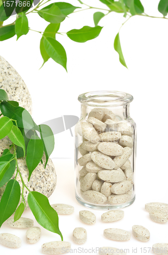 Image of Herbal supplement pills and fresh leaves 