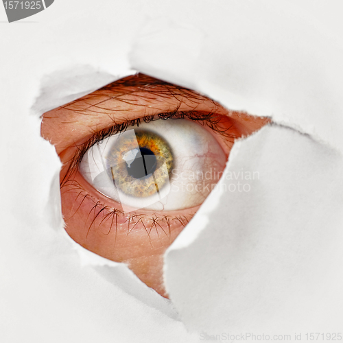 Image of Eye looks through a hole in the paper - spy