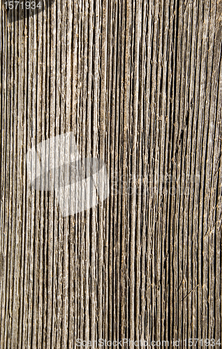 Image of grunge wall board texture time affected background 