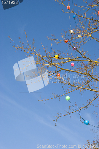 Image of Multicolor christmas toys deciduous tree blue sky 