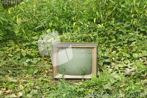 Image of Old TV set among green plants