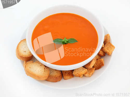 Image of Tomato Soup 