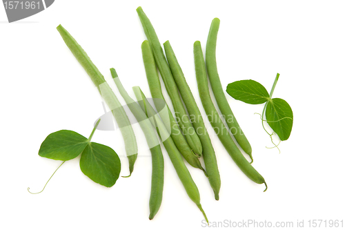 Image of Green Beans