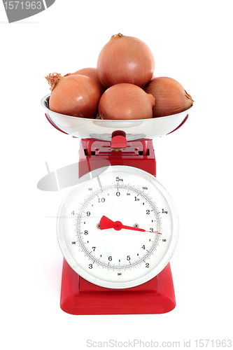 Image of Onions on Scales