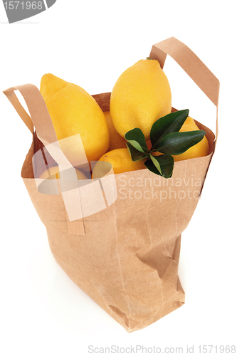 Image of Lemons in a Bag