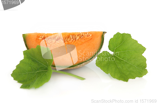 Image of Cantaloupe Melon