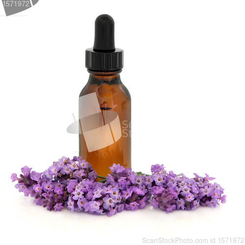 Image of Lavender Flower Essence