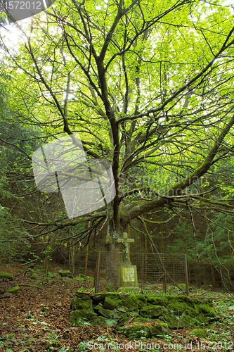 Image of Calvary in the deep forest