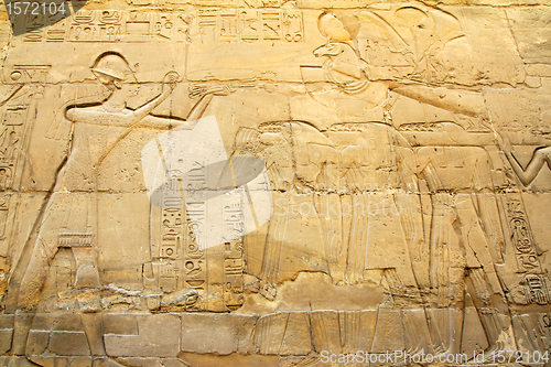 Image of ancient egypt images in Karnak temple
