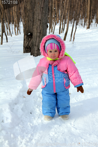 Image of baby girl in winter park