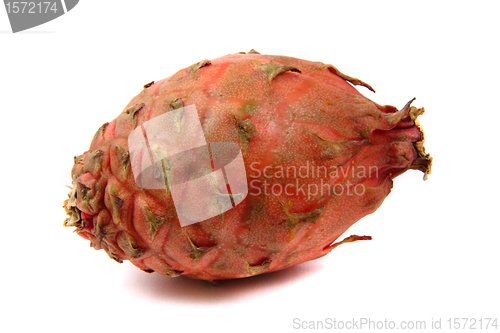 Image of pitahaya fruit