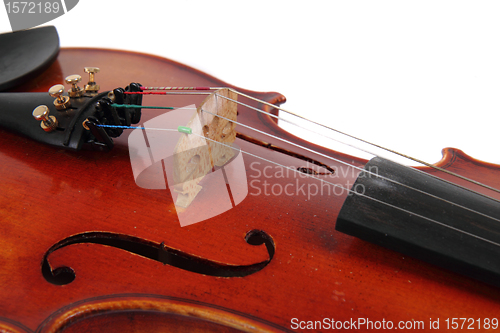 Image of detail of violin