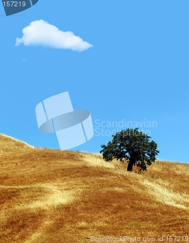 Image of Lonely cloud above California hills