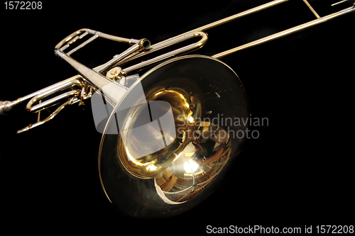 Image of golden trumpet 