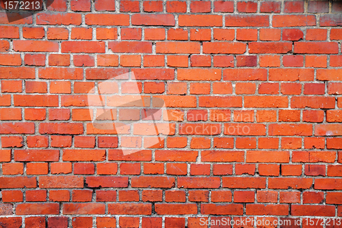 Image of Brick wall 