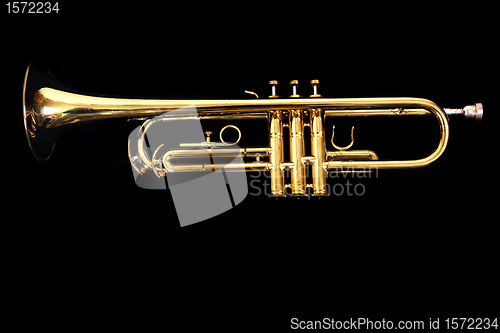 Image of gold trumpet