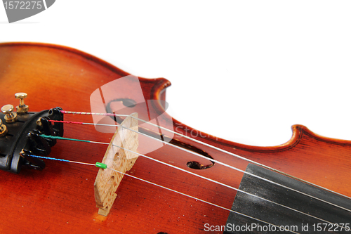 Image of violin details