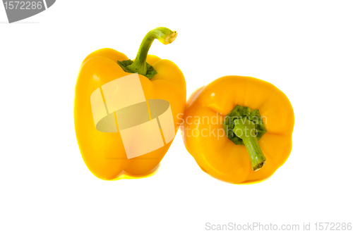 Image of paprika yellow healthy food nutrition isolated 