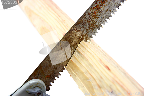 Image of Hacksaw in sawed yellow wooden 