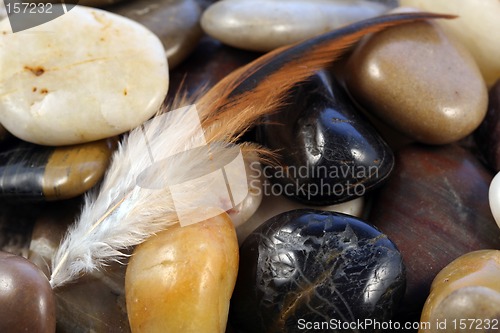 Image of Feather on stones