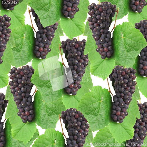 Image of Blue grape with green leaf, isolated on white background