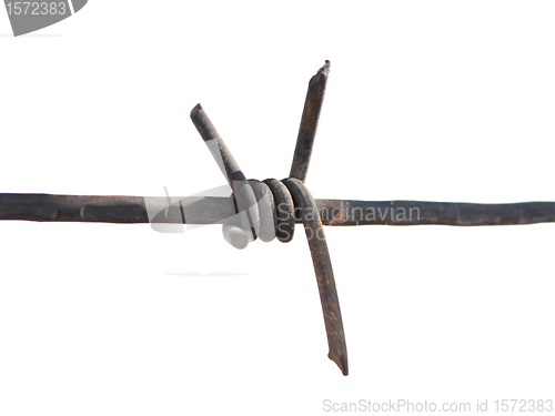 Image of Barbed wire