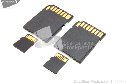 Image of Secure Digital memory cards 