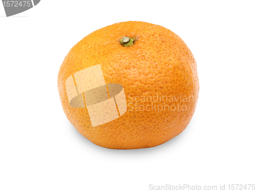 Image of tangerine on white background.