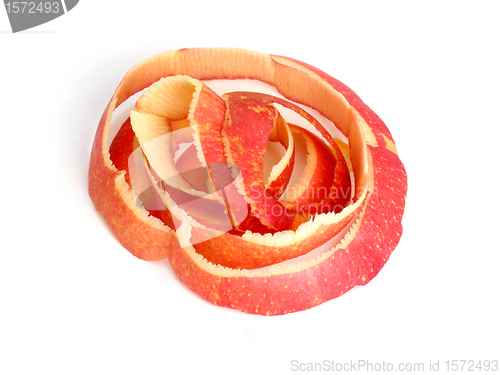 Image of Purified red apple peel is a ring.