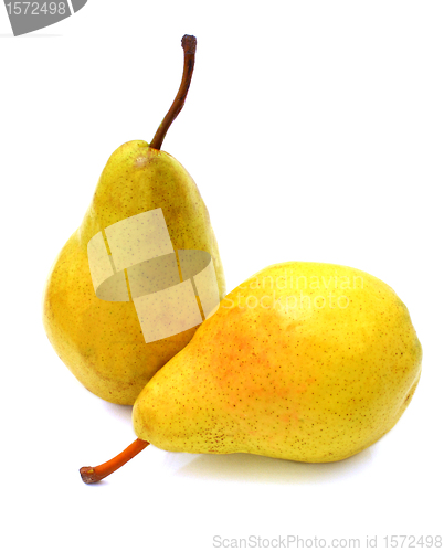 Image of Ripe pears