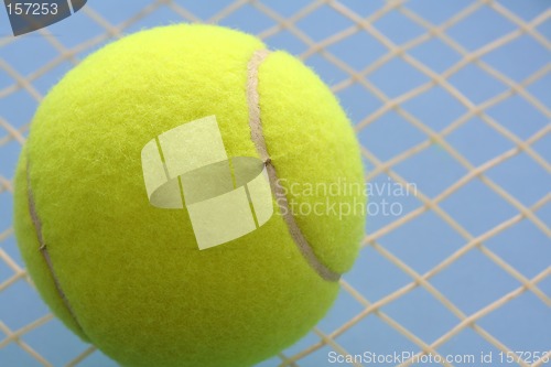 Image of Tennis