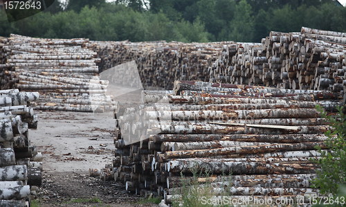 Image of Sawn timber    