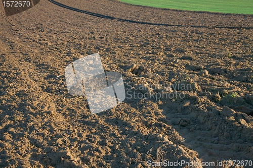 Image of Field