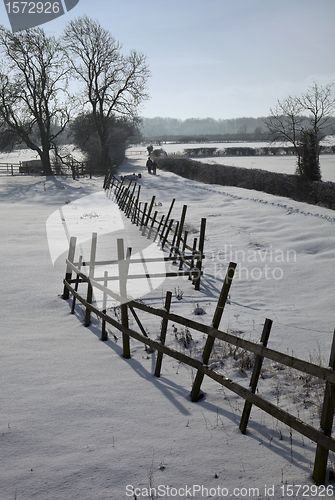 Image of Walking in wintry fields