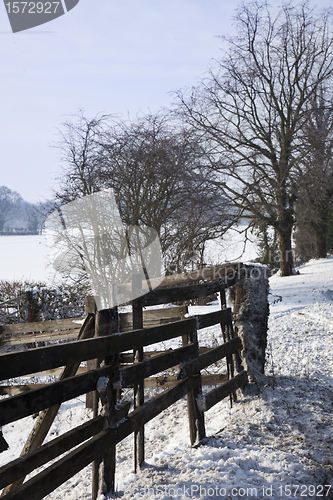 Image of Wintry country lane