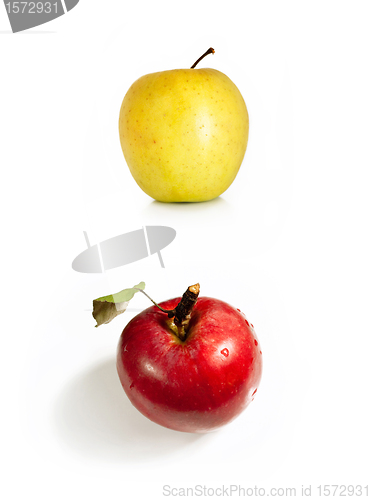 Image of apples