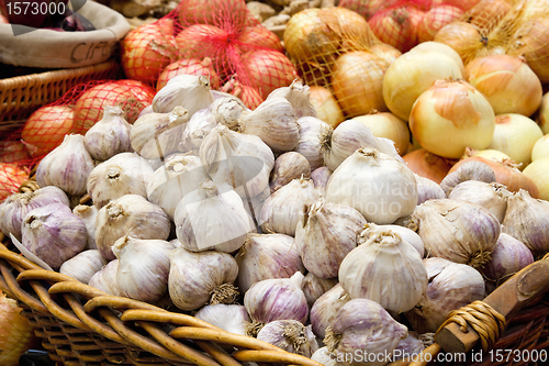 Image of Garlic and Onion Bulbs Closeup