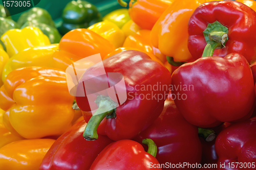 Image of Red Yellow and Green Bell Peppers