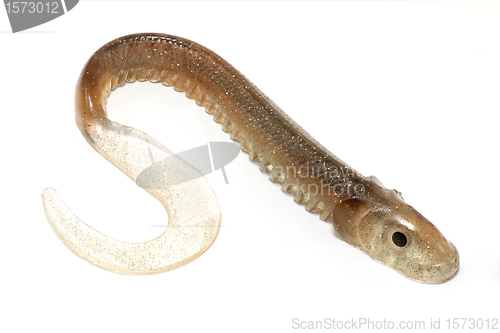 Image of vinyl lamprey