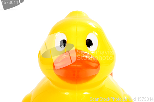 Image of plastic duck