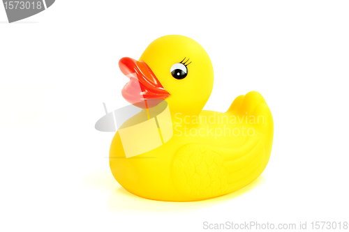 Image of rubber ducky