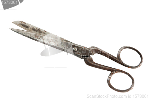 Image of Old fashioned scissors  it is isolated on white