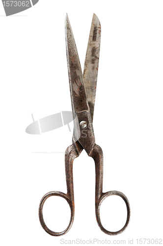 Image of Old fashioned scissors  it is isolated on white