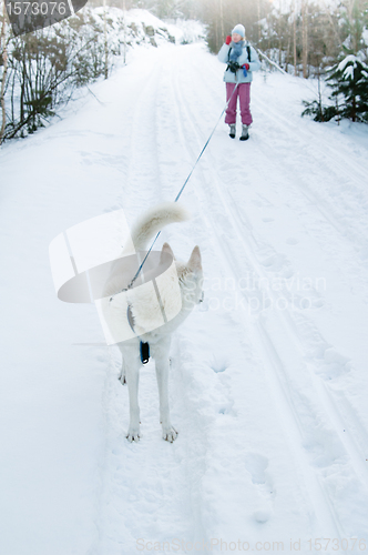 Image of The woman with a dog in winter on walk
