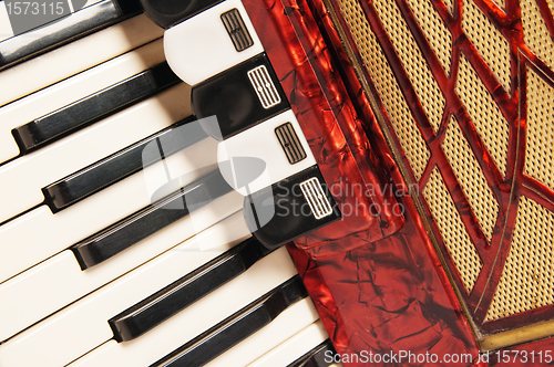 Image of Red accordion, close up