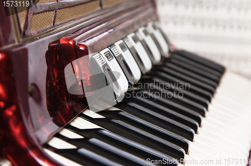 Image of Red accordion, close up