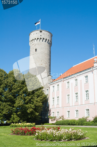 Image of  Tower Long Herman, Tallinn, Estonia